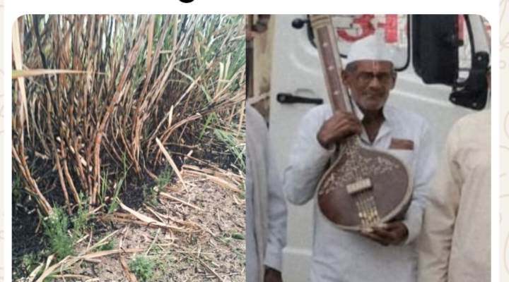 अंबाजोगाई तालुक्यातील ममदापूर येथे उसाच्या फडात आढळला वृद्धाचा जळालेला मृतदेह